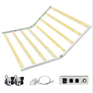 A琬LEDCg yk͔| @\ FtXyNg KhCo[ OE |Ɩp vdl  ^