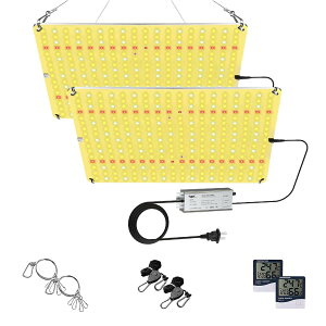 A琬Cg LEDCg 1200W LM281B+ Cg`bv tXyNg ⑫ \ ƕs ^ ϗtA ͔|Ɩp Ai _ƁE|p xxvt