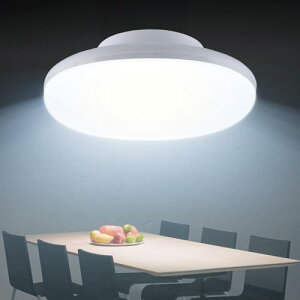 LEDV[OCg V[OCg ~j LED ^ 邢 ^V[OCg 10W ~jV[OCg V[OCgl V[OCg RpNg  4-6Ή dF 