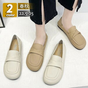  pvX fB[X V[Y EhgE [q[ [t@[ ؂ tbg ɂȂ ₷ JWA ʊw w R[f