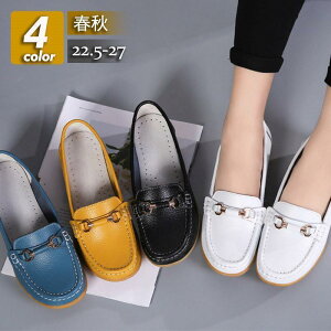 pvX fB[X V[Y JV [q[ ؂ tbg ɂȂ ₷ JWA 傫TCY Ռz  ʋΒʊw