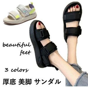 r[`T_  fB[X _炩f ₷ ؂ n rT_  ~ JWA