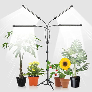 CgAX^ht4wbhvgCgAvgp80W 80LED 5500KtXyNgtAvgCgA9xAI/It^C}[A38`120 cm̎Or\