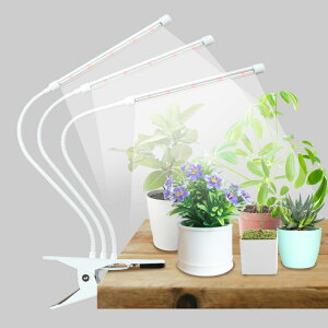 A琬Cg led Nbv y1`4{܂őIׂ郉Cg{z ApCg X^h ϗtA A ͔|  Cg 360xA[ /؂ւ/^C}[