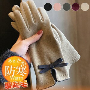  fB[X O[u N {A X}zΉ n  ۉ AE^[ JWA h h  oCN hCu H~