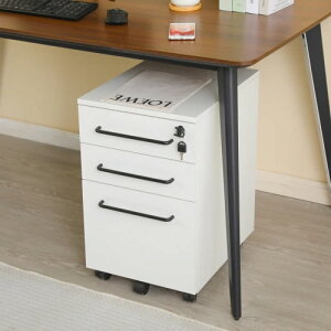 fXNS  TChS 59cm ItBXS X`[ I[bN S A4t@C bN