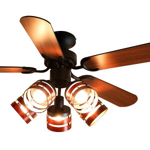 E Ɩ V[Ot@Cg V[OCg 5 5H LED ubN/uE