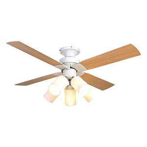 V[Ot@Cg 4 R ؖڒ t@ ȃGl ʒ VƖ Vt@ g[ V[OCg IV dC LED (ubN)