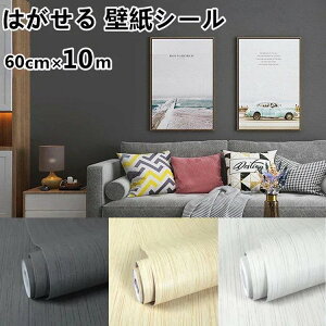 ǎ 10m ւ n  ȒPDIY ̂t h hJr ǕC B CNV[g60CMx10m