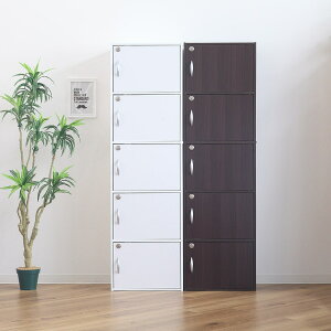 NVIJ[{bNX 5i Sit 42cm [ Ƌ t I bJ[ BOX {I t [{bNX [I zCg uE