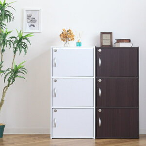 NVIJ[{bNX 3i Sit 42cm [ Ƌ t I bJ[ BOX {I t [{bNX [I zCg uE