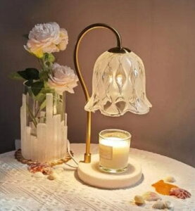 �ň��l �Ƌ� �؍��C���e���A �L�����h�� 2�̓d���t�� �G�� �E�H�[�}�[�����v ���K��