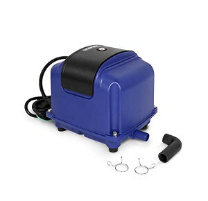 GA[|v DT40  40 򉻑 GA[|v GA|v u[ uA[ u uA ȃGl