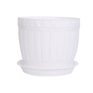 T  t[x[X Ԋ Aؔ ƒ  ze vX`bN Aؔ v^[ zCg gCt