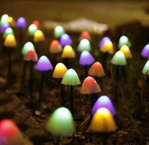 LEDXgOv OLmR^ \[[Cg tȒP drsv ɂ₳ ȃGl h O//Ő/p[eB[K[fCg5M20LED (J[Cg)