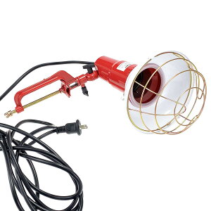 yNvŒ莮zhJ` E39tvpvz_[ (K[ht)