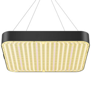 2000W ACgIRUV܂2`l\tXyNgLEDA琬pCg A ϗtACg k͔|v ؍Hp