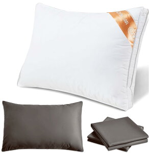  Jo[2 ܂ zedl   ې􂢉\ ̍\ ̓/̓/ãv[g (63*43*20CM zCg)