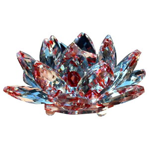 B NX^@̉Ԃ̒u@̉Ԃ̑KXH|RNVe[uiyYMtg