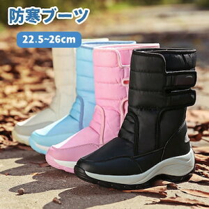 Xm[V[YXm[u[cfB[XV[gu[cȌCCNіhCAEghA{AZC[gu[c{Au[cu[c~hV[Yhۉ[q[ꊊɂ]