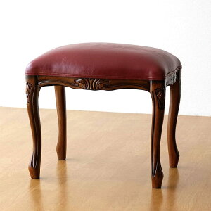 Xc[ AeB[N  NbV hbT[   ֎q ؐ 烌U[   Lr }zKj[̃GKgȃXc[