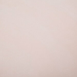 G[ NbV rO zc ֎q tANbV E^ ~` TCY a 50cm CG[