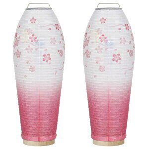 ~ ~j ~傤 LED R[hX ]s e(ق)  3905-2 ΃Zbg(2)28cm×10.5cm u ؖt