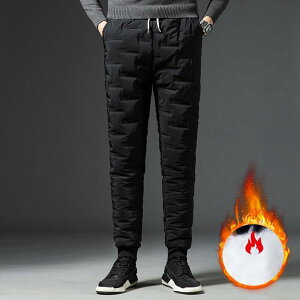 Vi lC ȃpc Y fB[X WK[pc ɒgpc gpc StEFA ȓ y  h ۉ g oR AEghA