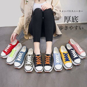 Xb| Xj[J[ fB[X LoXXj[J[ RtH[gV[Y h  3cm ʋC _ h JWAV[Y V[Y