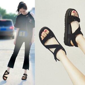 T_ fB[X  X|[c rT_ V[Y T_ xN r[` X|[c xg y T_ T_ ăr[T