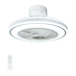 Eh ی^V[Ot@Cg `6 |V[Op a49cm F ʁE]ؑ ԊORt x[VbNO[h