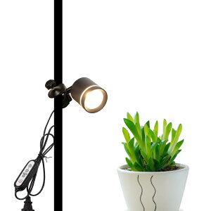 LEDNbvCg |[}Eg A琬Cg ߑΉA7WtXyNg ^C}[t 24 Ԑݒ _ dCsvAzsv e[uvAX^hv Q