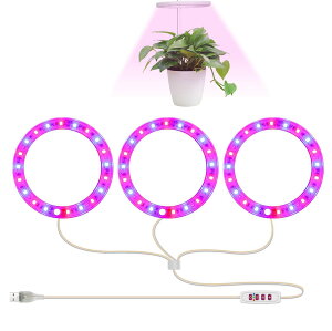 �A���琬���C�g�A�t���X�y�N�g��LED�A���琬���C�g�A5�̒������x���A�����A���p�琬���C�g�A�琬�����v�^�C�}�[�����I���I�t4 8 12H�����A���p���C�g�A�����ȐA���ɍœK