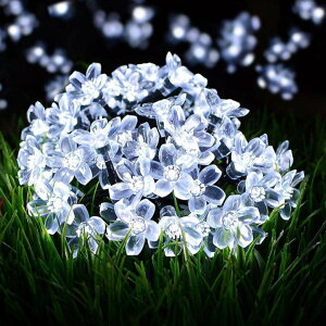 XgOCg \[[ C~l[VCg  7.5M50d 2gv100 LED O K[fCg 8[h h NX}XCg 胉Cg