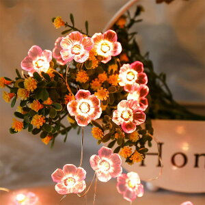 XgOCg C~l[VCg  sN dr LED  O K[fCg NX}XCg 胉Cg (3m20d dr)
