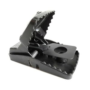 ˂ݕ߂ ˂݃Nbv ߊl ˂ݑގgbv lY~  ˂ݎ ݒuȒP ҂ Nbv lp 