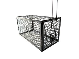 ˂ݕߊlJS ^lY~߂蔠 ˂ݎ菬 bN ˂ݕ߂蔠 l }EX 딨ی Qb쏜΍ K~ߓh ݒuȒPgbv bhnbg REDHAT p^ ol  ST