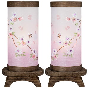 d cX Ε ~ ~j ~傤 ]s قƂ } 8911-W ()29cm×14.5cm u ؖt