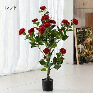  KN  tFCNt[ tFCNO[ lH GKg  CeA p[eB uC_ Cxg o [Y 4-7