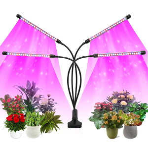 LEDAO[Cg Ap tXyNg tAUVACg ߉\ȃX^ht (14C`~63C`)A^C}[tA͔|vAϗtApI/It