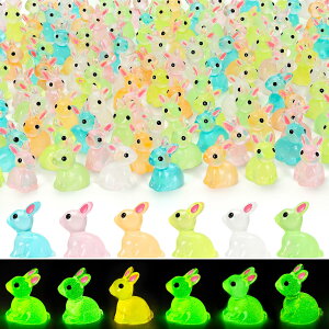 ~jETM66 ~j`AC[X^[oj[tBMA ÈłŌ鏬ȃETM C[X^[GbOp[eB[tB[ P[LfR[V d̒̕i