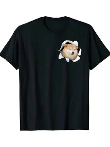 200g̃RbgTVciubNj́A{{̐ňČoAyɕӂ񂵂Ă܂BČDȕAs̃fUCDȕAFB̃p[eB[Ȃ