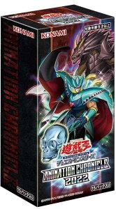 VYOCG fGX^[Y ANIMATION CHRONICLE 2022 BOX CG1810