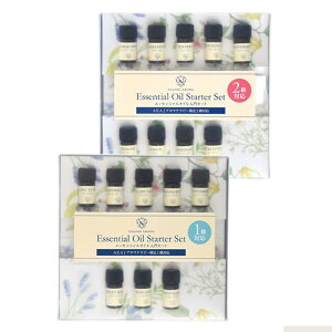 A}es[ A} ̊wуZbg AEAJ 2020N6 eXg΍ (12ΉZbg S17 AeLXgWȂ) A}1󌱂ɃIXXAEAJA}es[