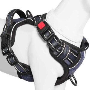 [2025ŐV^n[lX]BaoCheng p Ԍpn[lX A^}ʂ ^ ^ ^ p h~ P݌y TCY\ Ԕˍ Ȃ ʋC ȒPE