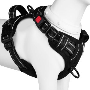 [2025ŐV^n[lX]BaoCheng p Ԍpn[lX A^}ʂ ^ ^ ^ p h~ P݌y TCY\ Ԕˍ Ȃ ʋC ȒPE