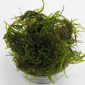 yzEB[X@_@20g@Gr@Vv _J  싛