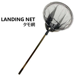 yזځz^  [ rbNTCY Œ()430cm ߉\ yʃA~ ] ^ ʖ  tBbVO ނ p Lk