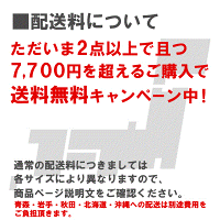 錦鯉プラチナ1匹ニシキゴイ鯉色鯉M13cm〜16cm前後生体川魚【2点以上7000円以上ご購入で送料無料】