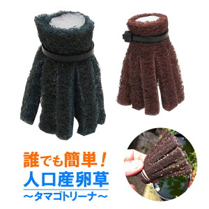 y`Oz^}Sg[i[ 3Zbg ߂pi Y _J 싛